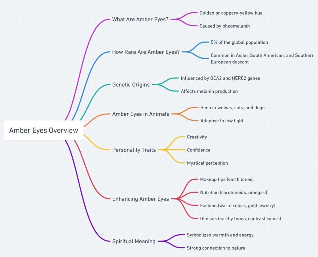 Overview diagram of amber eyes covering traits, rarity, genetics, and spiritual meaning.