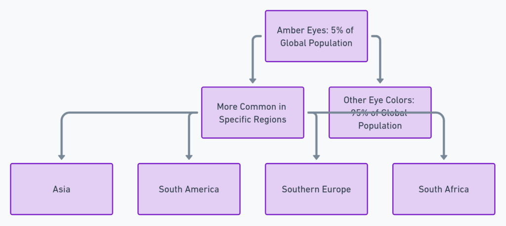 Diagram showing the global distribution of amber eyes, with 5% of the population having amber eye color, more common in regions like Asia, South America, Southern Europe, and South Africa.